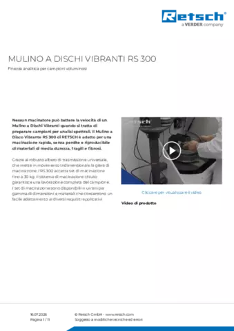 Scheda tecnica del prodotto RS 300